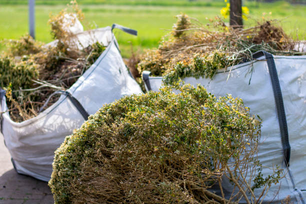 Best Moving and Downsizing Cleanouts  in Coalville, UT